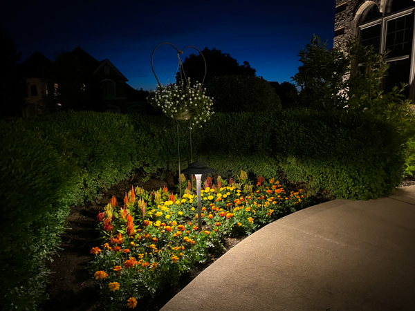 Read more about the article The Top Five Advantages Of Low Voltage Path Lighting Vs. Solar Lights